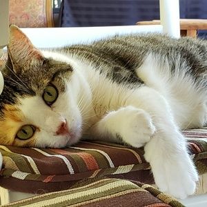 Meet your Posher, Deborah